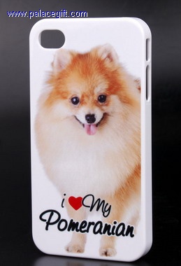 Case for iPhone 4/4S
