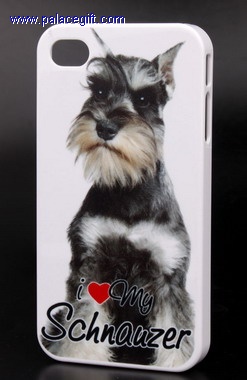 Case for iPhone 4/4S