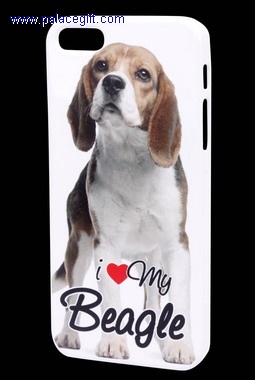 Case for iPhone 5/5S