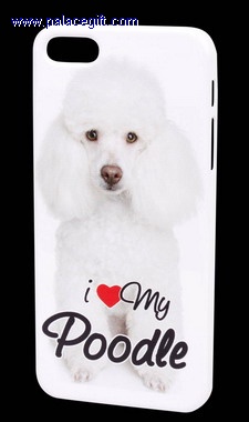 Case for iPhone 5/5S
