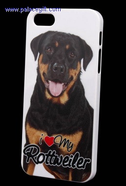 Case for iPhone 5/5S