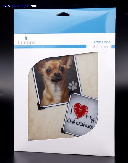 Case for iPad