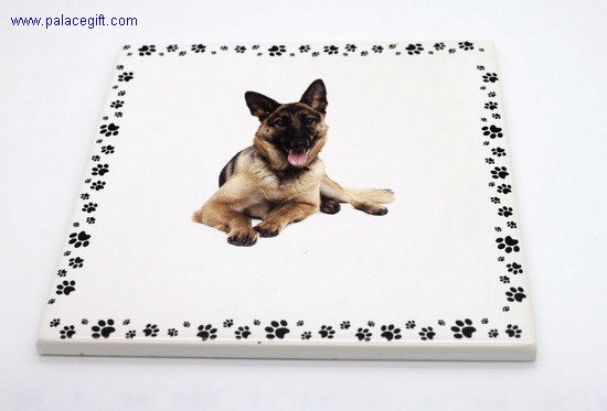 Ceramic Coaster