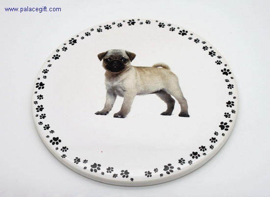 Ceramic Coaster