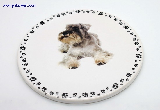 Ceramic Coaster