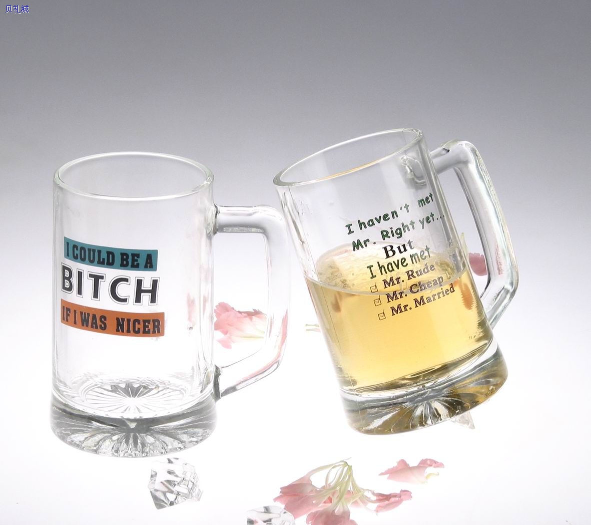 Glass Beer Stein