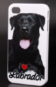 Case for iPhone 4/4S