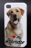Case for iPhone 4/4S