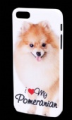 Case for iPhone 5/5S