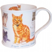 15 OZ Ceramic Wide-Mouth Mug